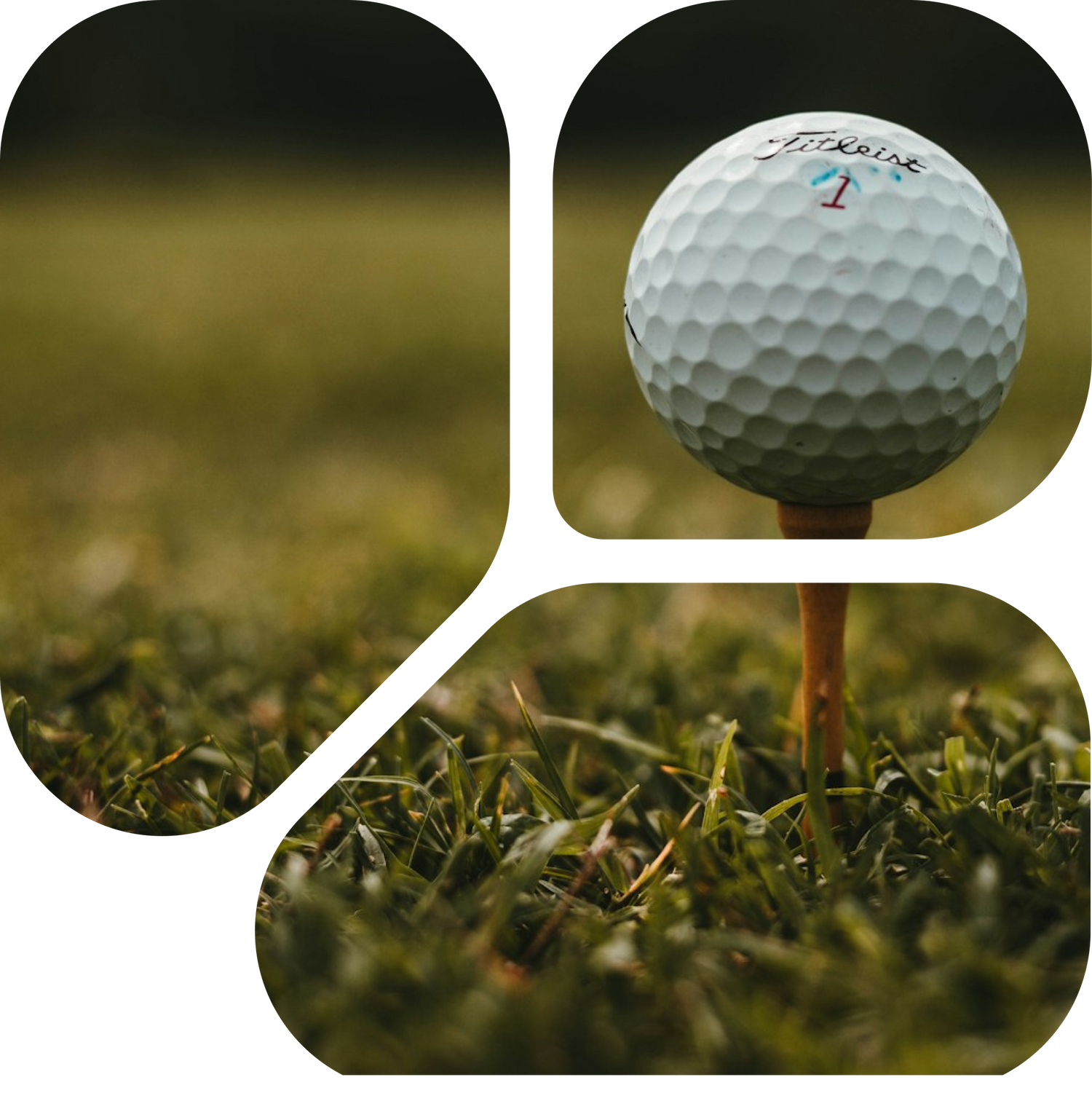 Golf tee in logo